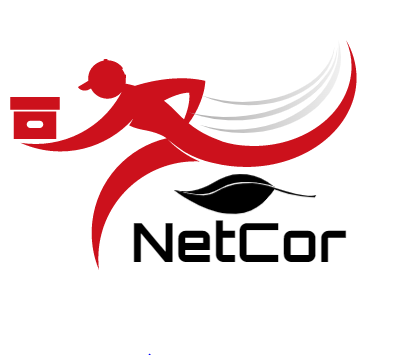  NT
